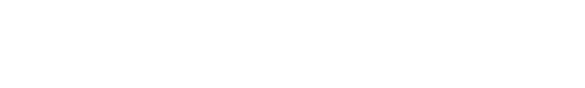 FASCIA GRUPPO LANZI GROUP